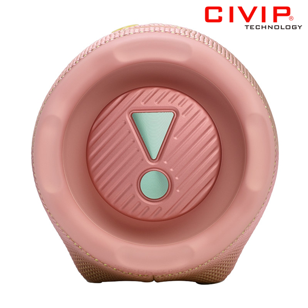 Loa JBL Charge 6 - Pink