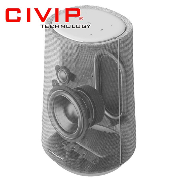 Loa Bluetooth Harman Kardon CITATION 100 Black