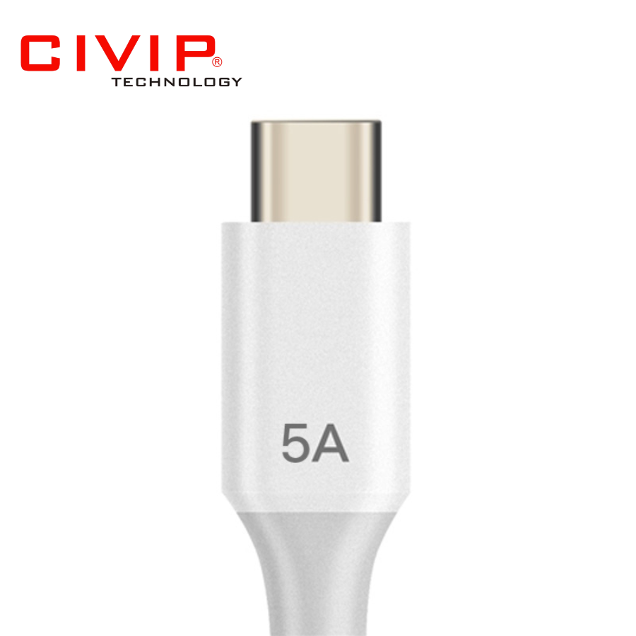Cáp sạc Pisen USB-C to USB-C Quick Dual 5A 1200mm (TCC04-1200)