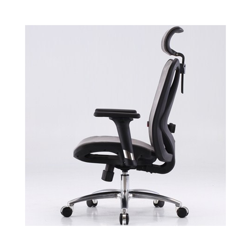 Ghế Công Thái Học Sihoo M57 - Đen Xám