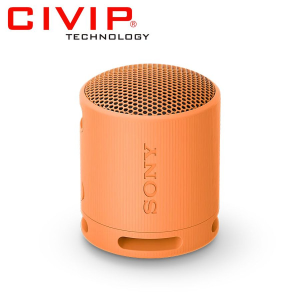 Loa Bluetooth Sony SRS-XB100/DCE - Cam