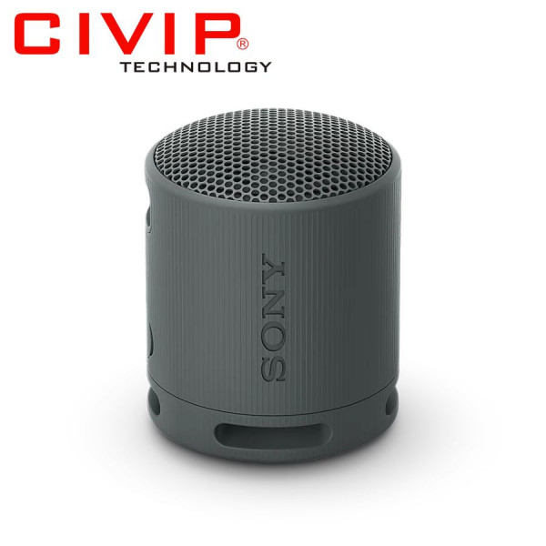 Loa Bluetooth Sony SRS-XB100/DCE - Đen